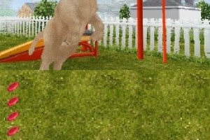 Petz Dogz Family Screenshot