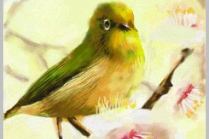 Art Academy Screenshot