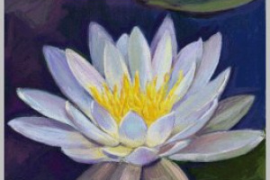 Art Academy Screenshot