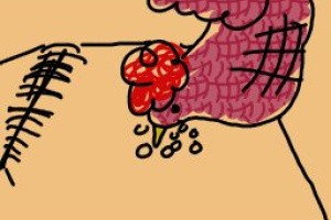 Inchworm Animation Screenshot