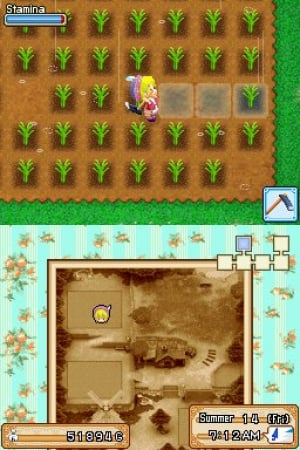 Harvest Moon DS: Grand Bazaar Review - Screenshot 3 of 4