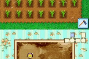Harvest Moon DS: Grand Bazaar Screenshot
