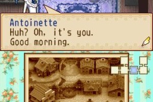 Harvest Moon DS: Grand Bazaar Screenshot