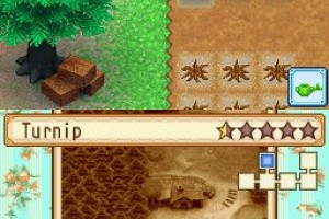 Harvest Moon DS: Grand Bazaar Screenshot
