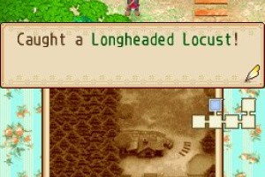 Harvest Moon DS: Grand Bazaar Screenshot