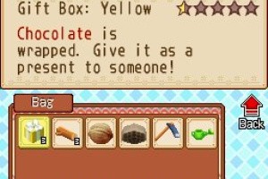Harvest Moon DS: Grand Bazaar Screenshot
