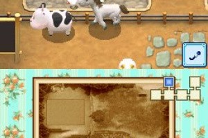 Harvest Moon DS: Grand Bazaar Screenshot