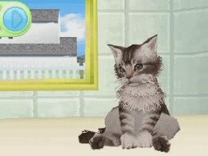 Petz Catz Family Review - Screenshot 2 of 2