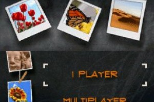 Spot the Difference Screenshot