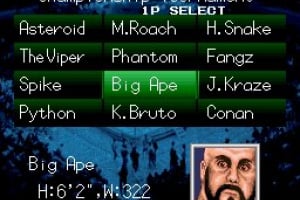 Natsume Championship Wrestling Screenshot