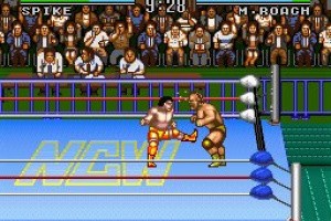 Natsume Championship Wrestling Screenshot
