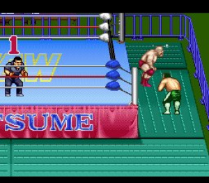 Natsume Championship Wrestling™, Super Nintendo, Jogos