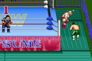 Natsume Championship Wrestling Screenshot