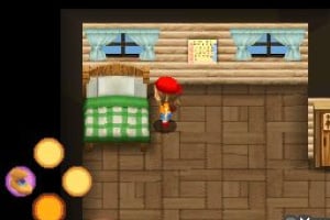 Harvest Moon DS: Sunshine Islands Screenshot