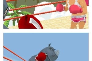 Animal Boxing Screenshot