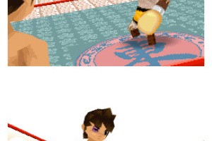 Animal Boxing Screenshot