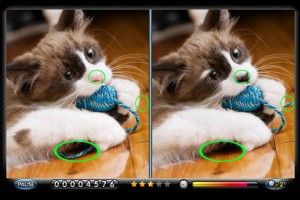 Spot the Differences! Screenshot