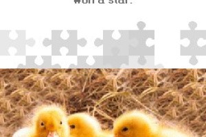 Puzzle to Go Baby Animals Screenshot