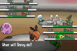 Pokémon Black and White Screenshot