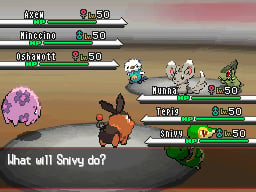 Pokémon Black and White (2011), DS Game