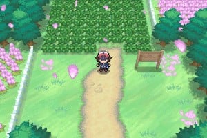 Pokémon Black and White Screenshot