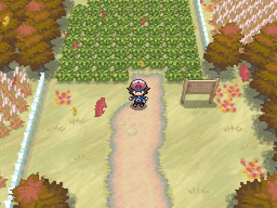 Pokémon Black and White (2011), DS Game