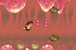 Super Adventure Island Screenshot