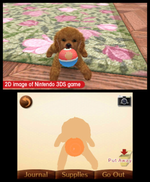 Nintendogs + Cats Review - Screenshot 2 of 6
