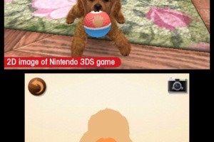 Nintendogs + Cats Screenshot