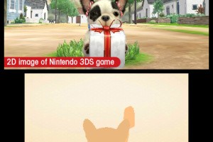 Nintendogs + Cats Screenshot