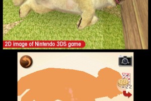 Nintendogs + Cats Screenshot