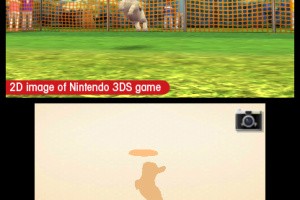 Nintendogs + Cats Screenshot