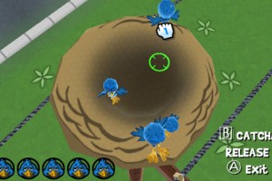 Play with Birds Screenshot