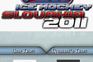 Ice Hockey Slovakia 2011 Screenshot