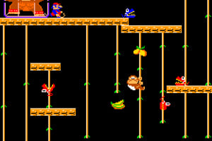 Donkey Kong Jr. Screenshot