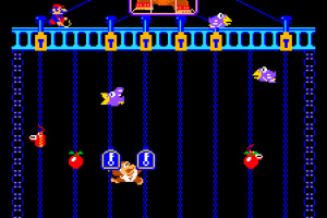 Donkey Kong Jr. Screenshot