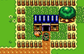 The Legend of Zelda: Link's Awakening DX - Screenshot 8 of 8