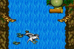 Kung Fu Dragon Screenshot