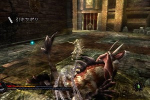 Pandora's Tower Screenshot