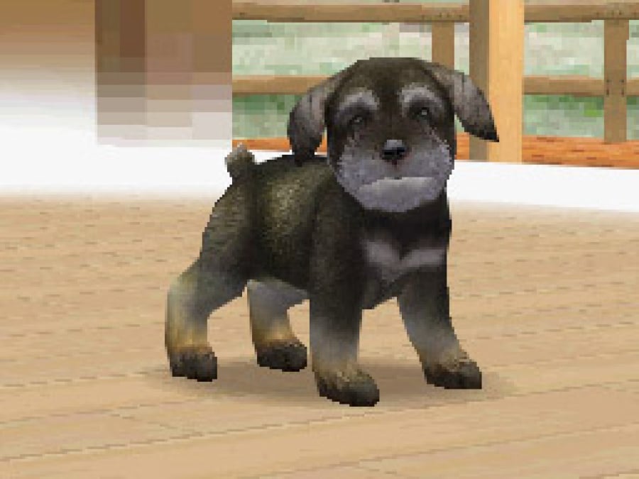 Nintendogs (2005) | DS | Screenshots