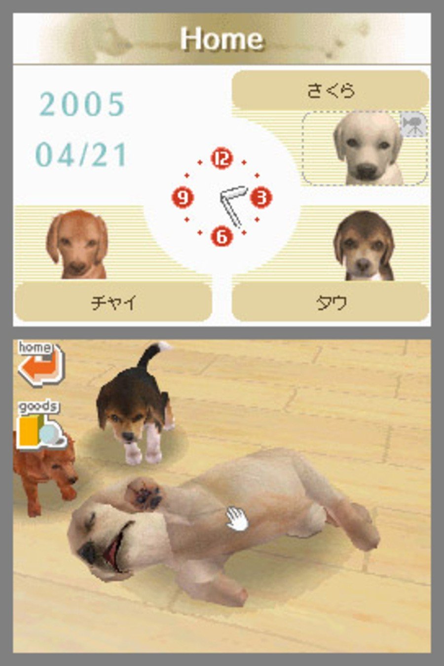 Nintendogs (DS) Screenshots