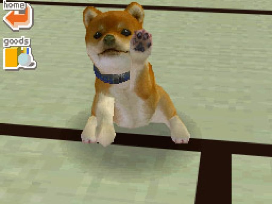 Nintendogs (2005) | DS | Screenshots