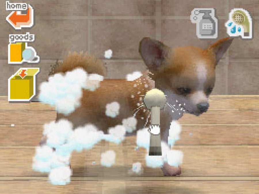 Nintendogs (2005) | DS | Screenshots