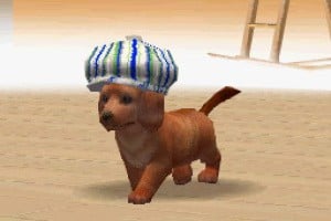 Nintendogs Screenshot