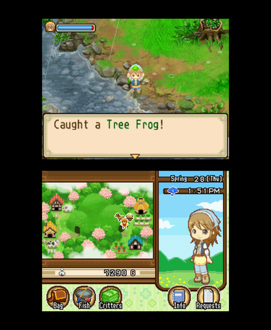 Harvest Moon DS: The Tale of Two Towns Screenshot