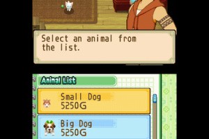 Harvest Moon DS: The Tale of Two Towns Screenshot