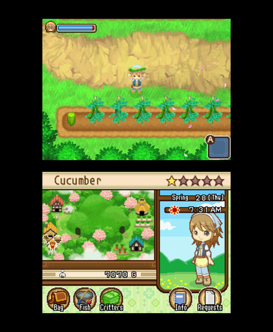 Harvest Moon DS The Tale of Two Towns 2011 DS Screenshots