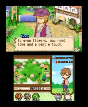 Harvest Moon 3D: The Tale of Two Towns Review - Screenshot 3 of 3