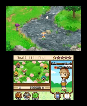 Harvest Moon 3D: The Tale of Two Towns Review - Screenshot 2 of 3