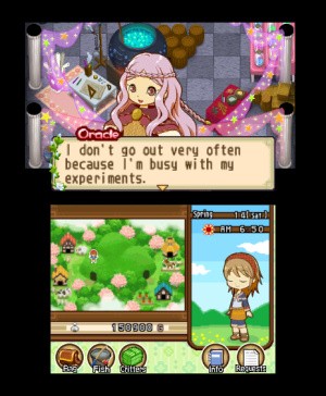 Harvest Moon 3D: The Tale of Two Towns Review - Screenshot 2 of 3